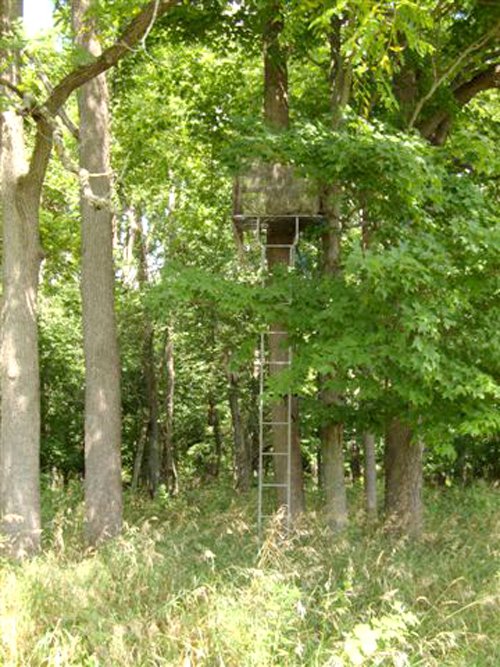 Property photo 9 - AUCTION CANCELLED TONIGHT!! SOLD Prior to Auction! 84+/- Acres Offered in 4 Tracts